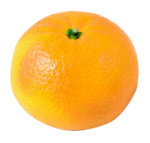 フルーツの写真アイコン オレンジ