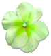 花の写真アイコン46